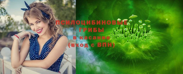 Альфа ПВП Абаза