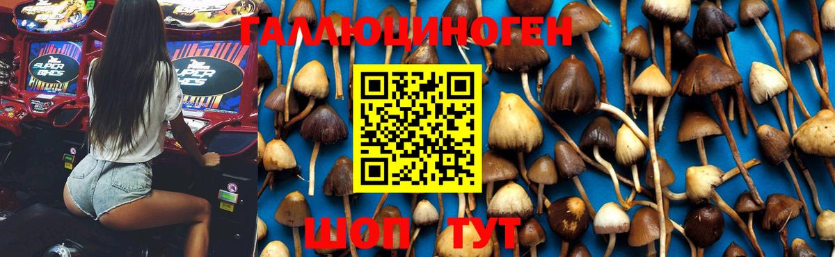 Псилоцибиновые грибы ЛСД  Вход с VPN  Галлюциногенные грибы Psilocybe  Севастополь 