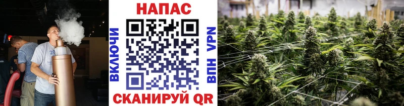 нарко площадка Telegram  Севастополь  Каннабис OG Kush 